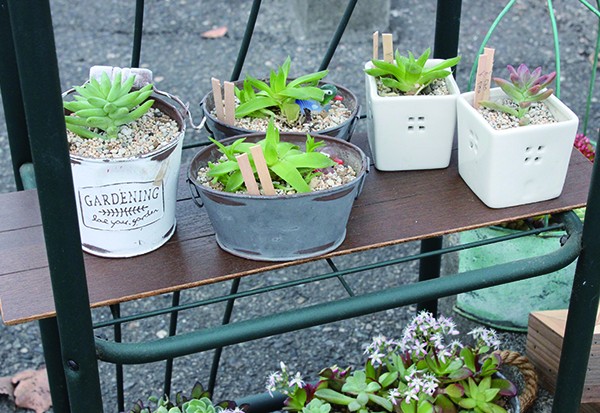 ｌｏｇｏｓ 三河初出店 E ホームニュース